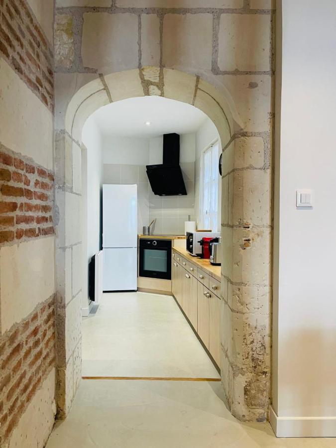 Splendid Apartment At The Foot Of The Castle Of Amboise - View Of The Loir Exteriör bild