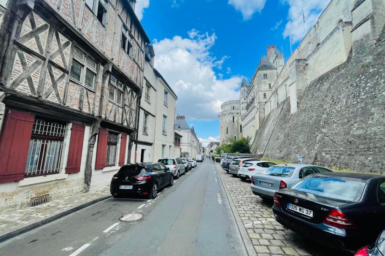 Splendid Apartment At The Foot Of The Castle Of Amboise - View Of The Loir Exteriör bild